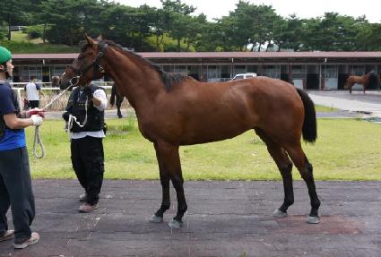 �ε��� ����