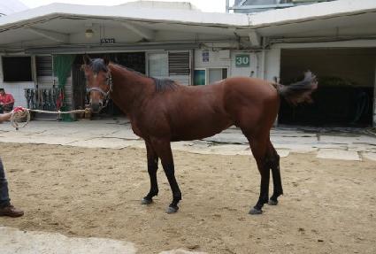 ��� ����