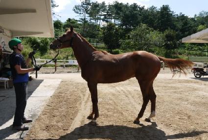 ��ƼǮ�ε��� ����