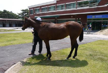 ���Ŀ� ����