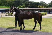 ���Ӻ��� (GASOKBULPAE) ����