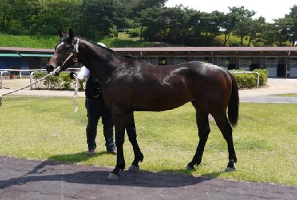 ���Ӻ��� ����