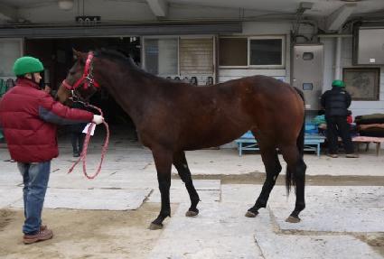 Ŭ����Ĺ ����