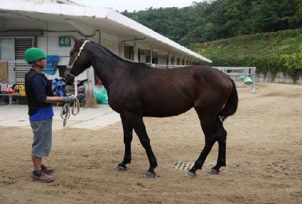 ȣũ����ƾ ����