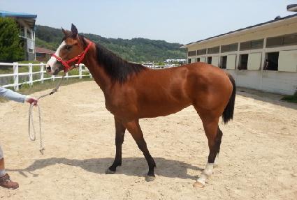 ����Ʈ�帲 ����