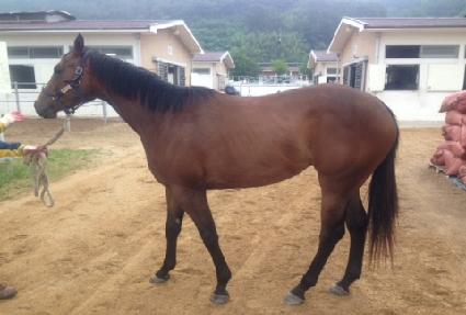 ����õ�� ����