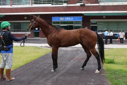 �ÿ��������� ����