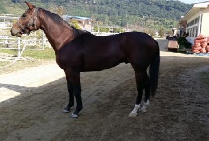 �ο�è�� ����