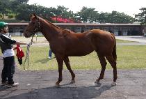 ���� (MA WANG) ����