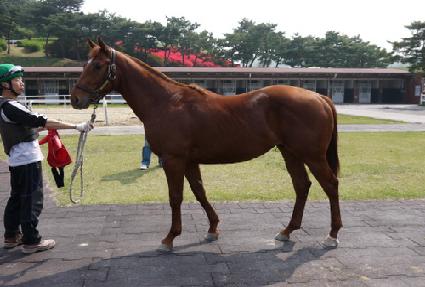 ���� ����