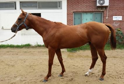 ������Ƽ ����