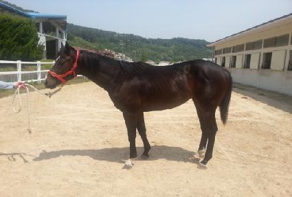 ����õ�� ����