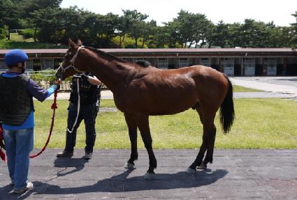 Ű�� ����