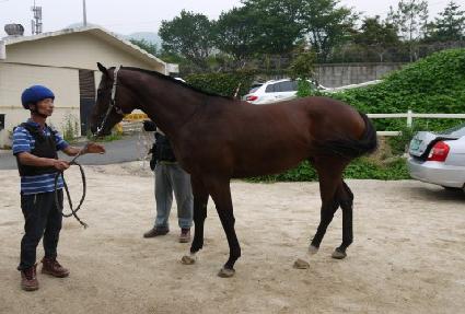 ������ ����