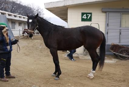 �����̼ų� ����