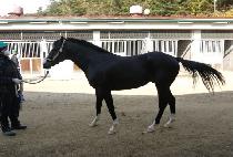 ���̹� (J BAEK) ����