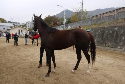 �׸��ǽ� ����