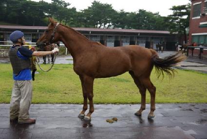 ���ڸ� ����