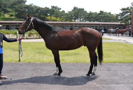 ��Ű����Ʈ ����