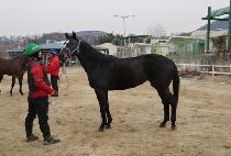 ����� (TONGKWAE SEUNG) ����