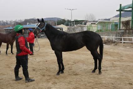 ����� ����