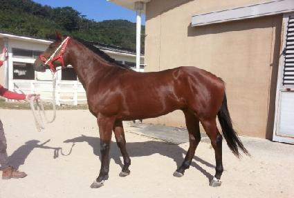 �������� ����