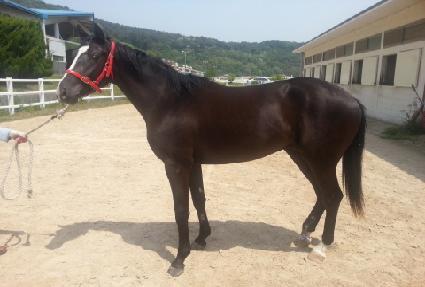 ȯ���Ǽ��� ����