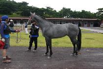 �����ī�� (Stop the Card) ����