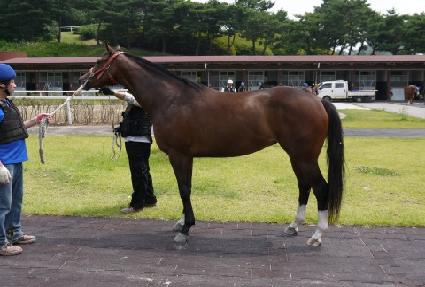 ��Ű��Ÿ ����