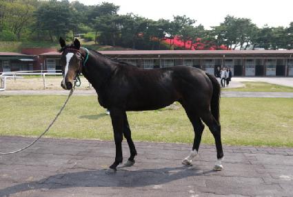 �����Ƹ� ����