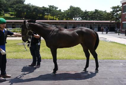 ��尶���� ����