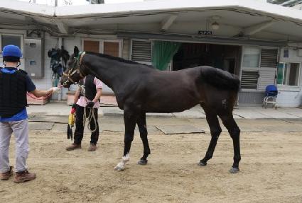 �̽����� ����