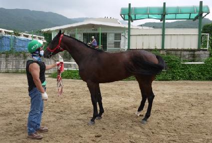 �Ҹ𰶷��� ����