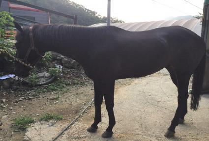 ��� ����