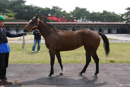 ���̾ư� ����