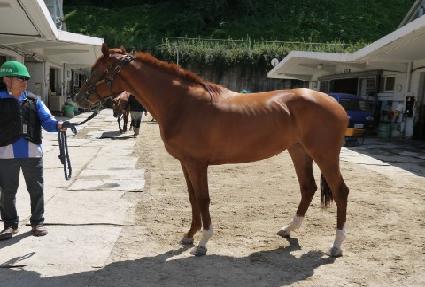 �ø�Ʈ��ü ����