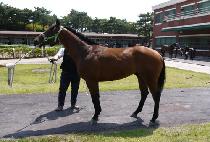 �����Ǵ�� (DONGBANUI DAEWANG) ����