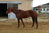 �����Ŀ� (ALPHA POWER) ����