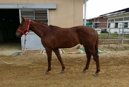 �����Ŀ� ����