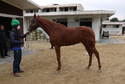 �Ŀ�Ǯ���̾� ����