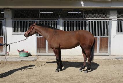 ��Ʈ ����