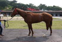 ���ϳ��� (MAHANAIM) ����