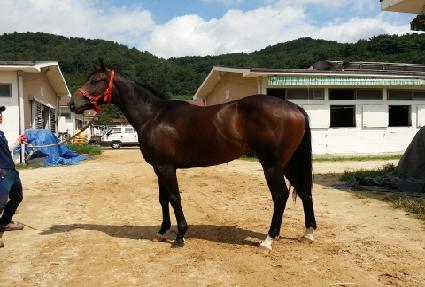 ��ǳ�� ����