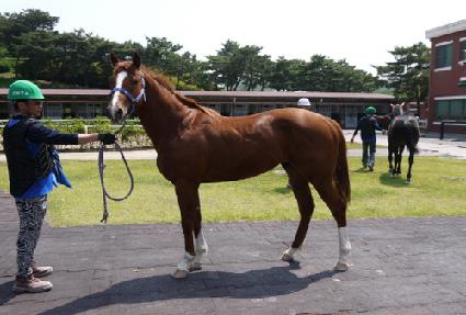 ū�ٴ� ����