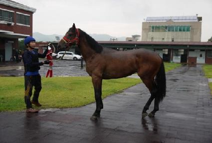 �¿��� ����