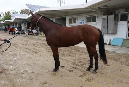 �Ŀ��ؽ��ǵ� ����