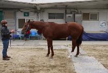 ���̿�ĸƾ (I AM CAPTAIN) ����