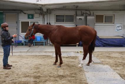 ���̿�ĸƾ ����