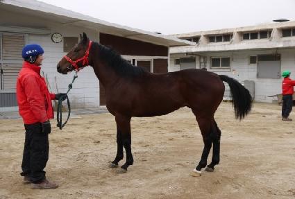 ��� ����