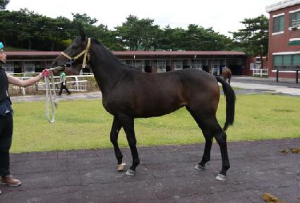 �ٽ��¾ ����